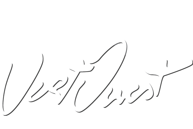 LOGO PVO_Blanc et ombre_ecriture seule sans fond LOGO PVO_Blanc et ombre_ecriture seule sans fond